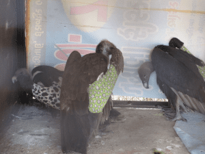 2026 AZEVN Conference